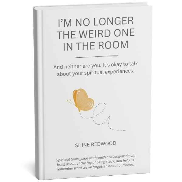 I'm No Longer the Weird One in the Room book